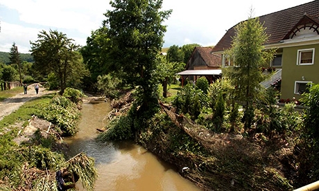 karfelmeres-borboly