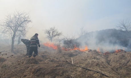 Tarlótűz