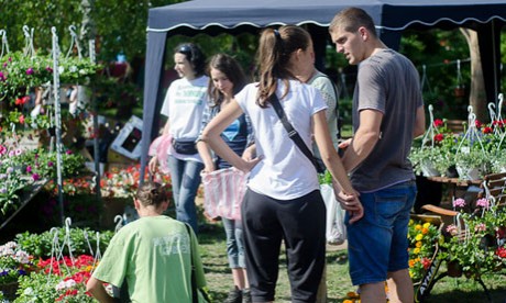 Virágkiállítás a Bethlen-lakótelepi parkban