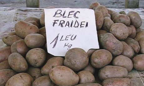 blecfraideiRomania
