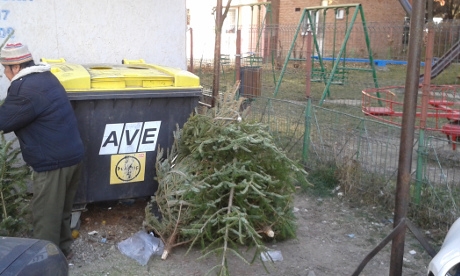 Fuszulykakarónak is kiváló a kidobott karácsonyfa fenyofa2