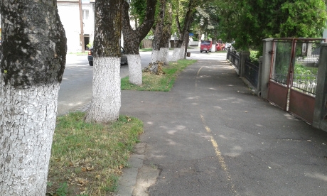 Most így néz ki a bicikliút a Tamásin utfestes1