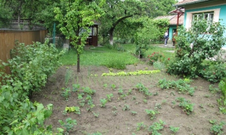 mezogazdasag3