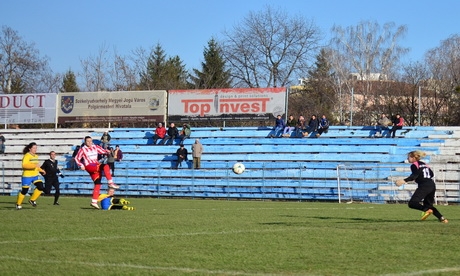 vasas brazi2