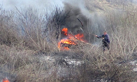 fotó: Olvasónk, Csabika fotó: Olvasónk, Csabika