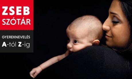 fotó: illusztráció zsebelozetes