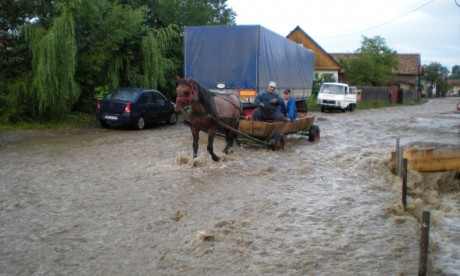 arviz_szentegyhaza_0701_06