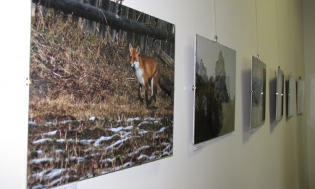 IMG_9565 IMG_9565