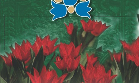 PLAKAT._TANACSA PLAKAT._TANACSA