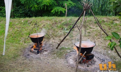 2011_Egyeb/0627_Szekely_Pajzs_Napok