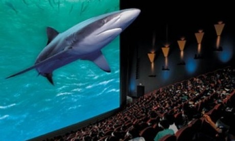 shark-3d-copy