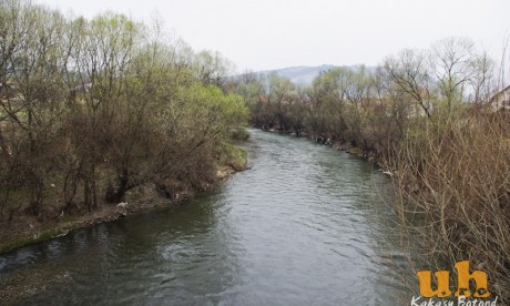 Szasza Szasza
