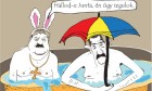 Bővebben...